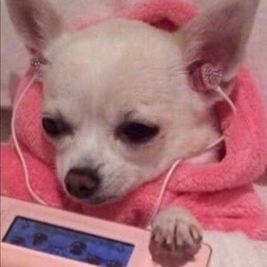 Meet your Posher, Nat